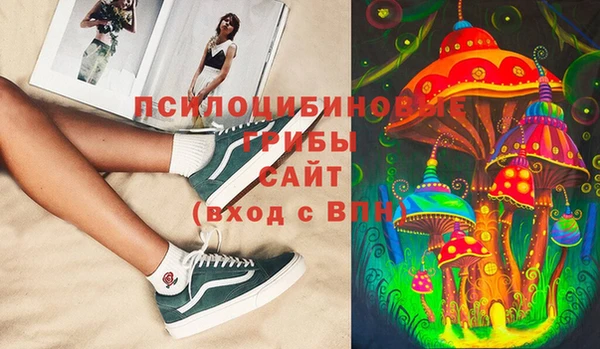 СК Волосово