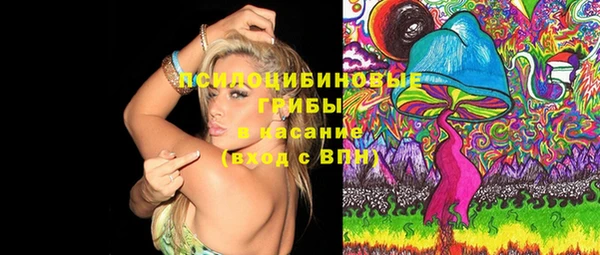 спайс Верея