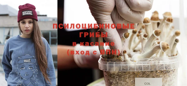 эйфоретик Семёнов