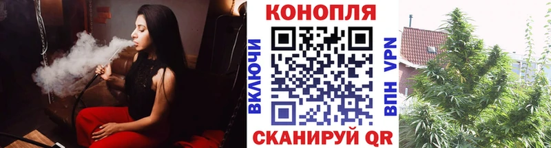 Бошки Шишки Ganja  Чулым 